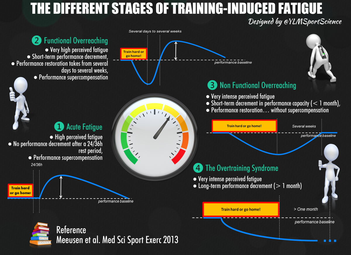 YLMSportScience tweet picture