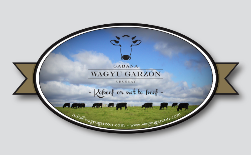WagyuGarzon's tweet photo. @hhdospierre @steakrevolution @vpineyro @galmassio http://t.co/WeEhELilnT