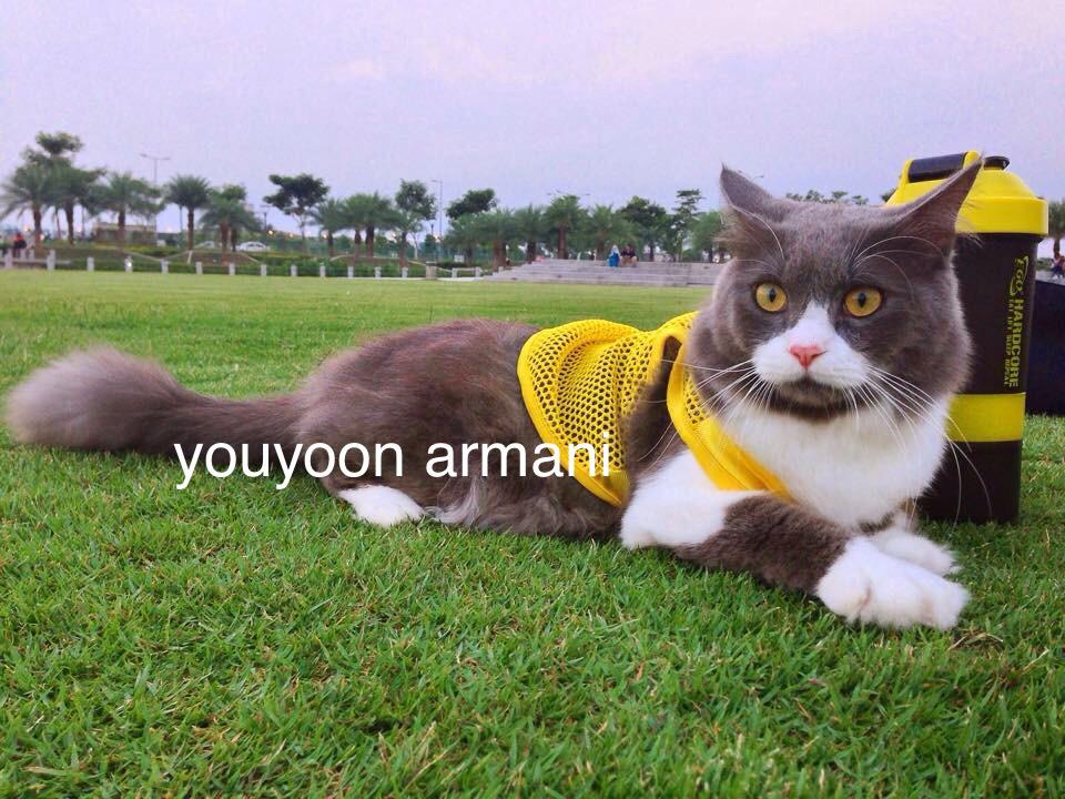 Youyoon Cikeboom (@y0uyoon) / Twitter