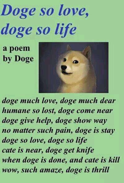 WowSuchDoge's tweet photo. much poem
such robert frost
very edger allen doge
wow http://t.co/QPFc4vDscP