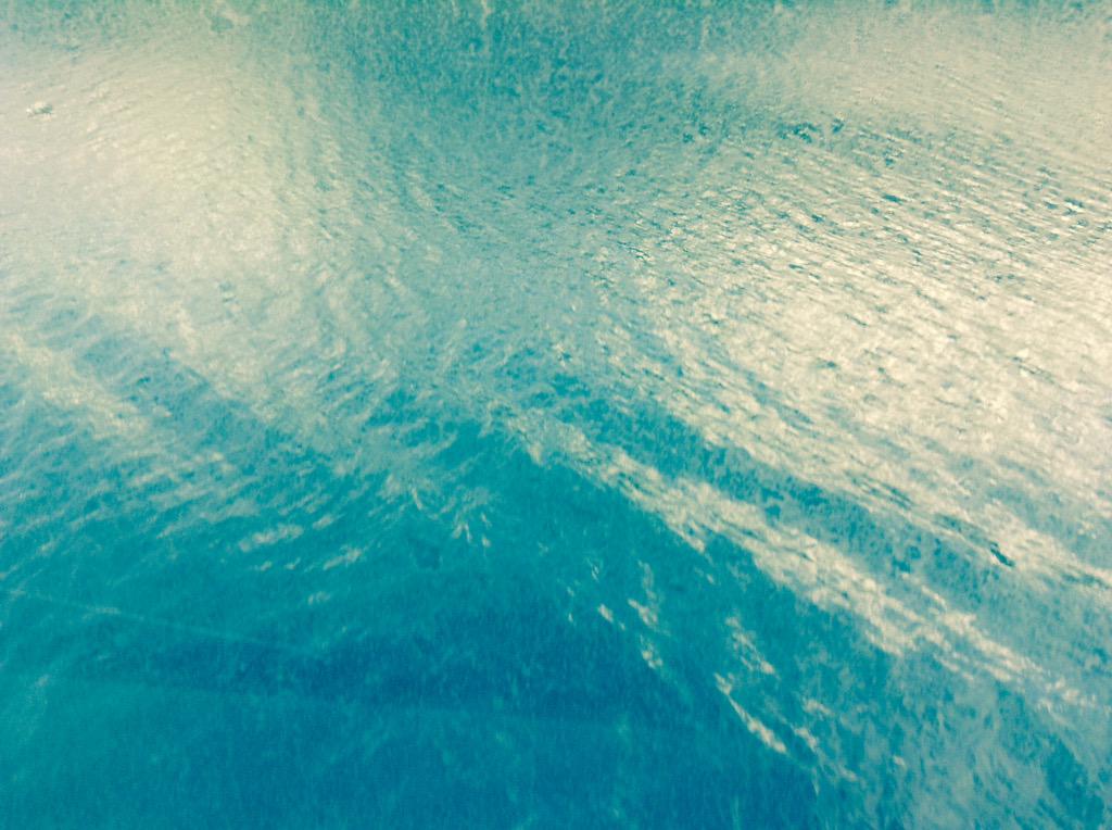 DigbyTyler's tweet image. Just chilling