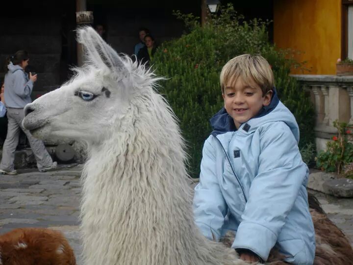 SanAgustinCallo's tweet photo. ¡Ven con tu familia a @SanAgustinCallo A tus hijos les encantará! Estamos al pie del #Cotopaxi http://t.co/QZHSIi1Jyz
