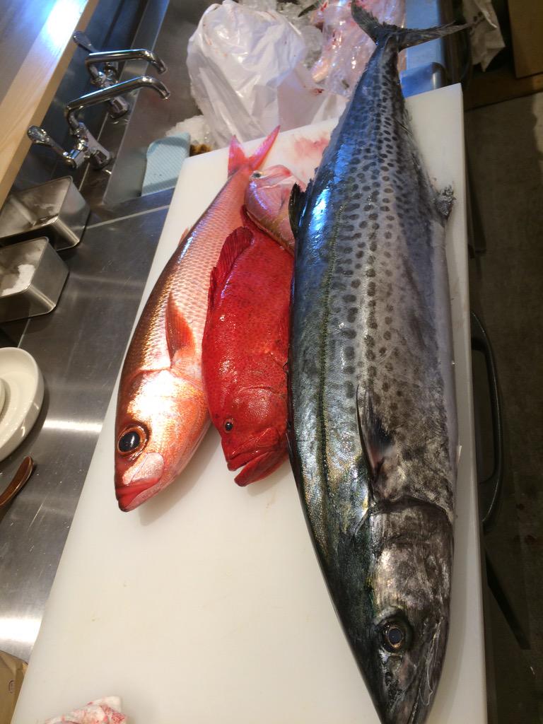 魚の美味しさを伝道する店 春代 Haruyo426 Twitter