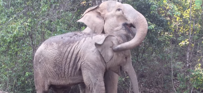 Embedded image permalink