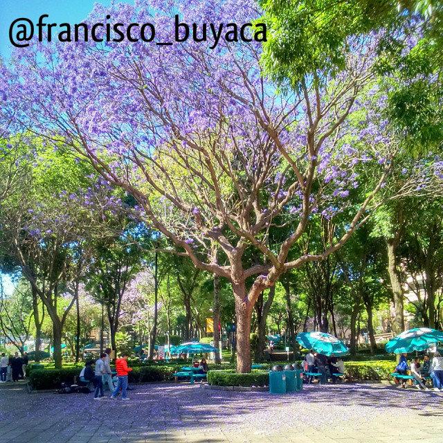 Prepa Tec CCM tweet media