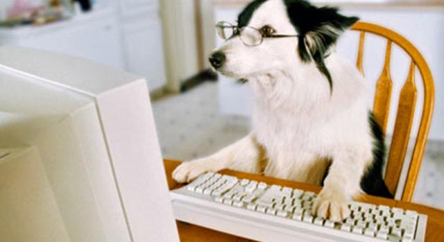 PuddlesVon's tweet photo. A5 learning never ends. #dentonchat http://t.co/LWeV81ZGe3