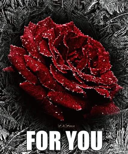 Lunasb04's tweet photo. http://t.co/ZaCAhsRkZ1