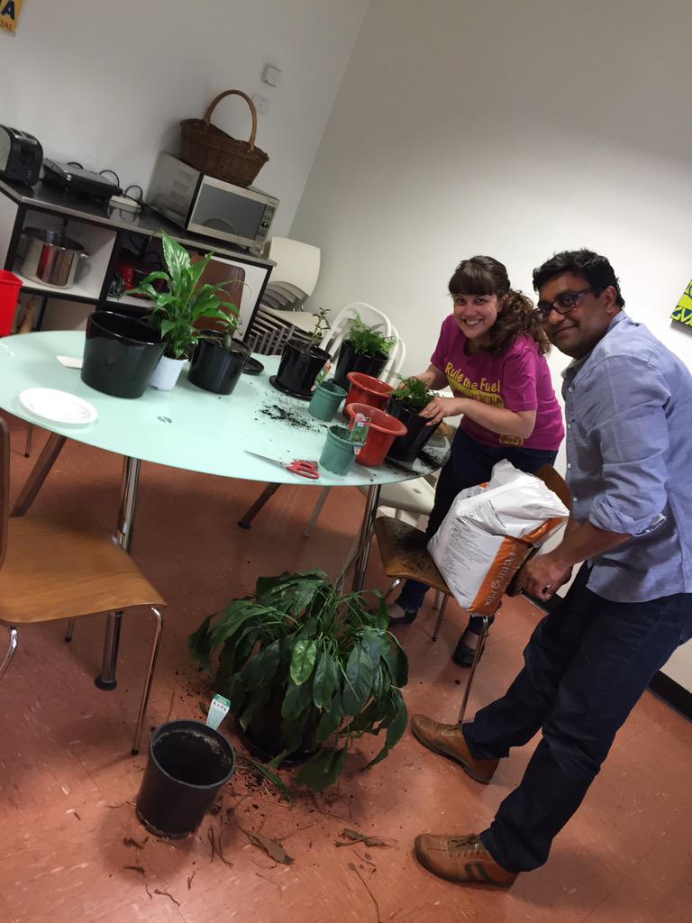 Openhub gets greener. Thanks <a href="/Formulate/">Formulate</a> for getting plants and repotting.