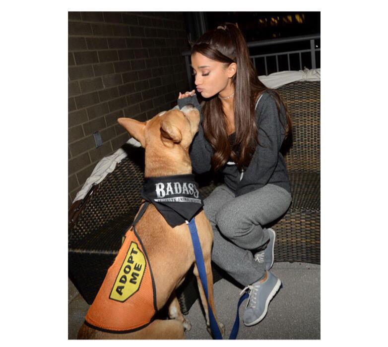 "He's so cute don't you agree!?"