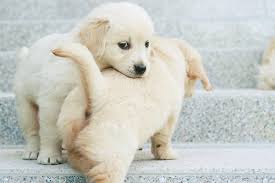 Iansbdaygift's tweet photo. #Fhugs @marisomer @ISFBRinAction @ISFBrazilRio @ISF_Breizh @RobiandRo @IrinaVolchugova @ISF_Germany_NRW @ISF_Steffi http://t.co/4cnh5rOPUb