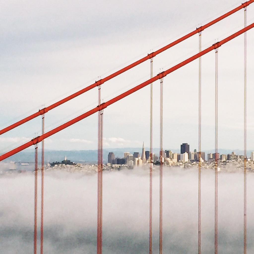 cohen's tweet photo. San Francisco as seen through the bridge.
http://t.co/UM5Ran0i1C http://t.co/h4M9bosjDR