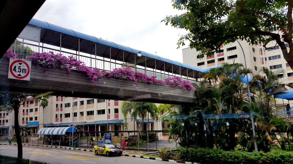 Flowersinsingapore Twitter Search