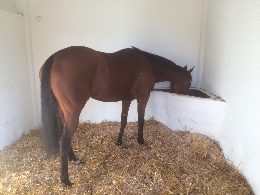 bcrawfordracing's tweet photo. @Alexis010811 very happy the way you look before your first outing for the KZN season @Lancesmg @ThoroughMedia http://t.co/VQdSGDKL6M
