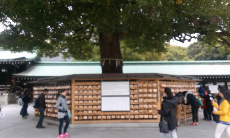 HimuraSeigi's tweet photo. http://t.co/i7GY5vW6FN