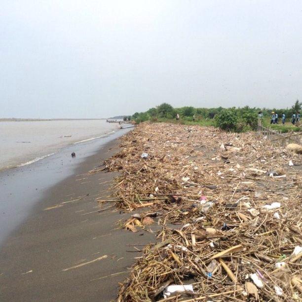 liat deh kalo banyak sampah kaya gini gimana penyunya bisa bertelur? :( #IniAksiku