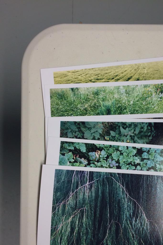 ms_elt's tweet photo. So glad that even budget labs still keep their frontier machines going. Thanks fujifilm... #printedwithlight http://t.co/v4yI5zzK5C