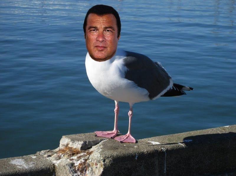 Happy birthday Steven Seagal.  Hopefully he calls this morning 