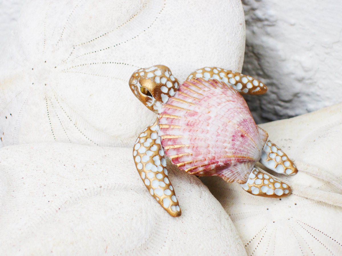 Cheryl Lee on Twitter: "Some turtle love shell jewelry at ...