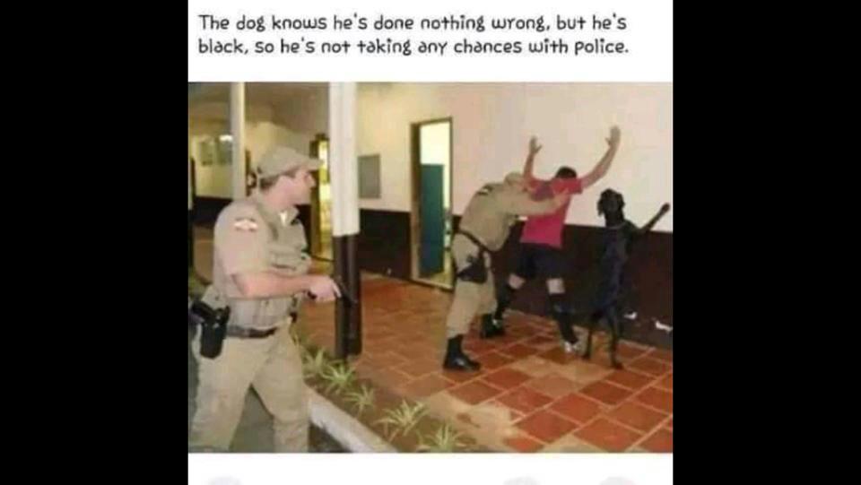 RodMovement's tweet image. 