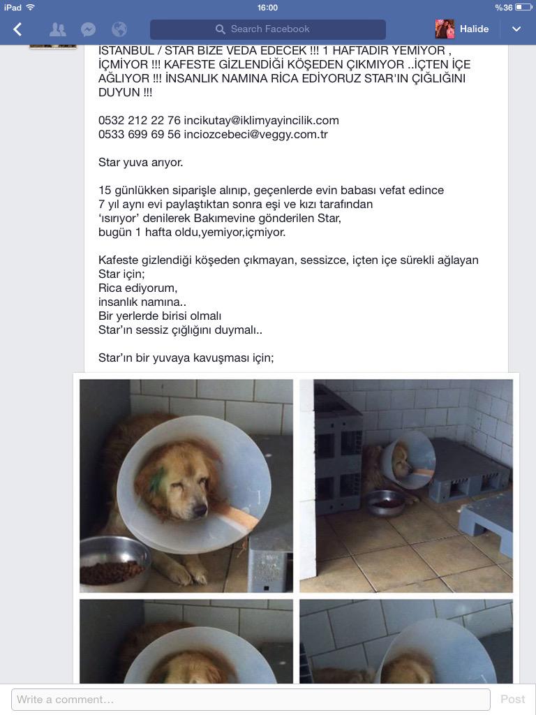 <a href="/pelincini/">pelincini</a> <a href="/HayvanSahiplen/">Oracle</a> <a href="/hayvanlar_icin/">Hayvan Severiz</a> <a href="/hayvansever131/">hayvan sever</a> <a href="/BestemsuOzdemir/">Bestemsu Özdemir</a> <a href="/sedaakgul/">seda akgül</a> <a href="/YoncaEvcimik/">Yonca Evcimik</a>