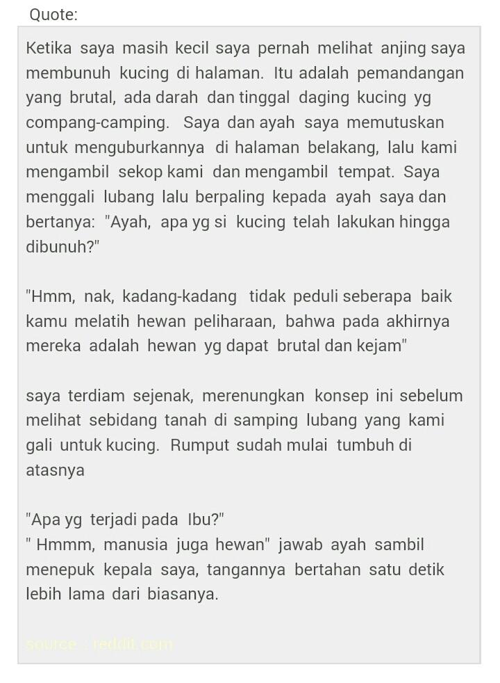 TheRiddleStory's tweet photo. Ayah, apa yang si kucing telah lakukan? http://t.co/OrJLXtBEu0