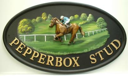 vghousesigns's tweet image. Choose your own horse colours on you house sign this weekend villagegreensigns.co.uk/product_detail…  #grandnational #houseplaques