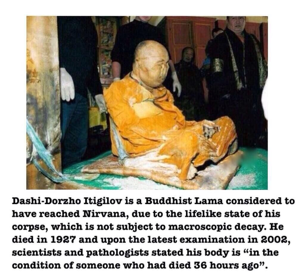 Horrifying tweet media