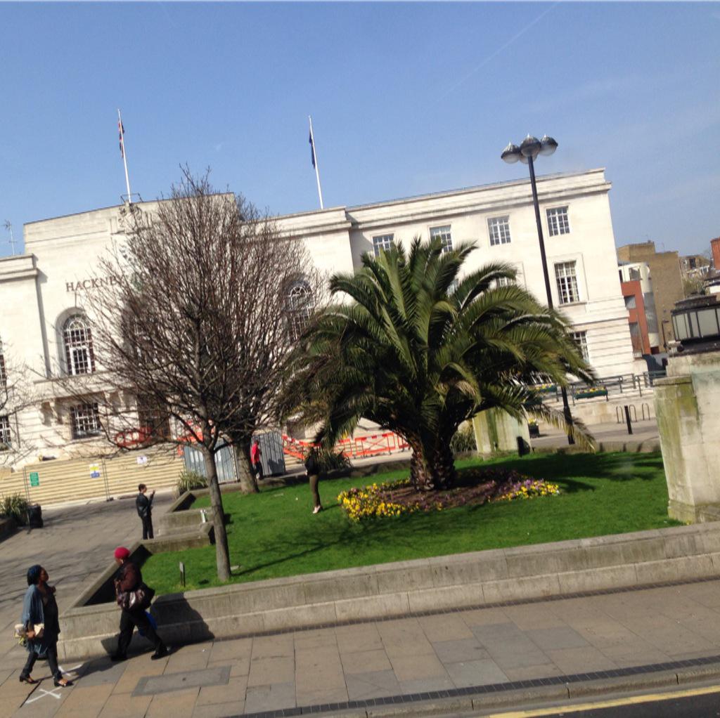 Chewymunro's tweet photo. Look closely, can you see the bird posing infront of the 'exotic' tree? #Photoshoot #CostaDelHackney http://t.co/3Dg8c33LxL