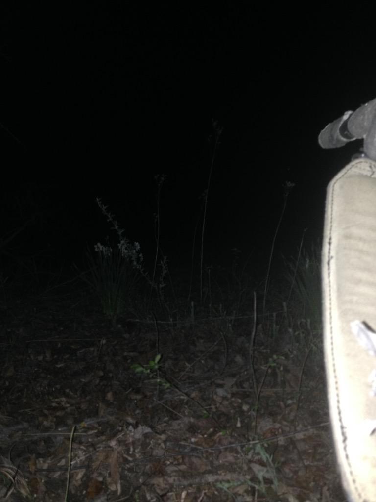 JwebbJames's tweet photo. Turkey hunting with my son. Doesn't get any better. http://t.co/QOh8XfeNTo