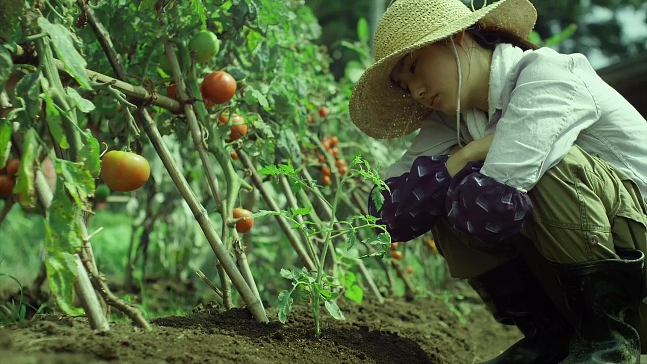 Hình ảnh có liên quan