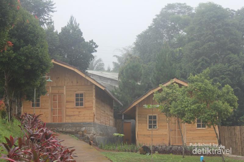 Hydrawis's tweet photo. Wak :D @lilawardanii "@detikTravel: Tempat Outbound Seru di Bogor, Richie the Farmer http://t.co/xkBuEqUP1P http://t.co/AMU5xJllY4"