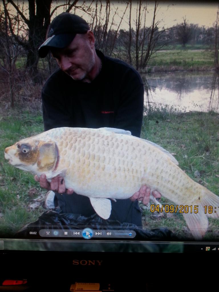 Nice looking  carp off the top