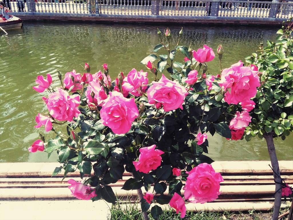 Jєѕύѕ Ɗίαz tweet media