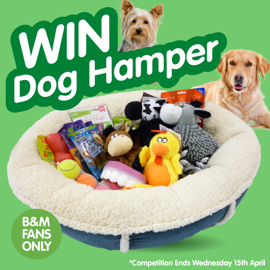 Dog Beds B&M B M Stores Keep Your Furry Friends Cozy For Less With