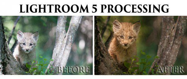 digitalps's tweet photo. Processing an Image in Lightroom 5 - a Video Tutorial http://t.co/V8x5iwfpkA http://t.co/4AXOlcuUxZ
