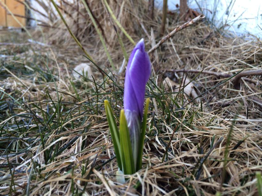pgullage's tweet photo. The light at the end of the tunnel is coloured purple http://t.co/tdwlidm9wO