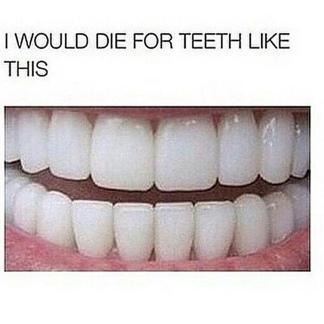 devongreen13013's tweet image. 