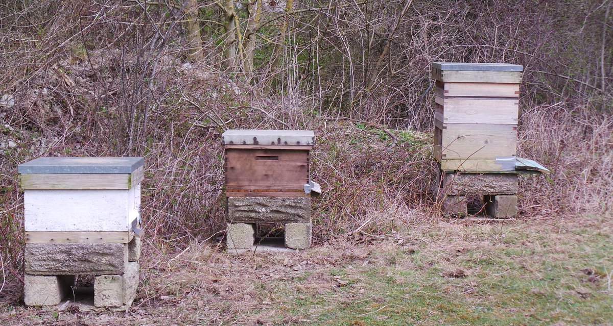 AberthawCement's tweet image. Very excited our new bee hives have arrived on site along with the new residents #beeshelpfarming #helpingecology