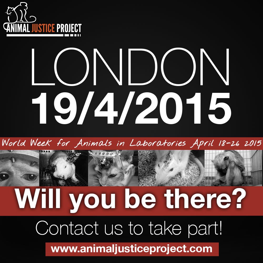 ajpReact's tweet photo. Join our event on April 19th to help #EXPOSE animal abuse during #WWAL. Contact: http://t.co/5zJqCccU1x http://t.co/x3zaid6ZHz