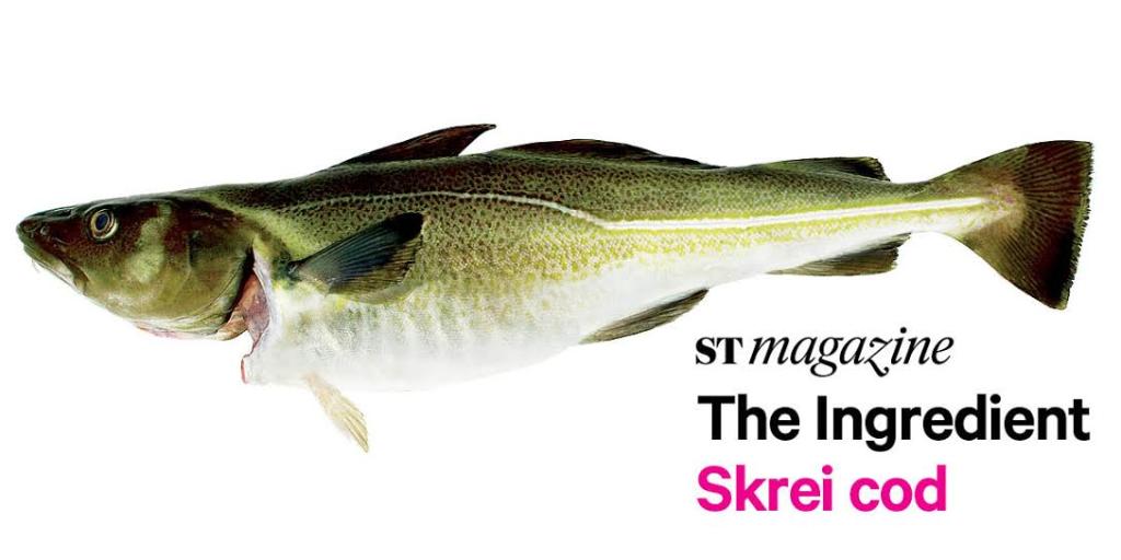 timespolitics's tweet photo. The Ingredient: succulent skrei cod. How do you eat yours? #STIngredient @SophieHaydock http://t.co/9PdnLbu69J http://t.co/qbUlsSpeIj