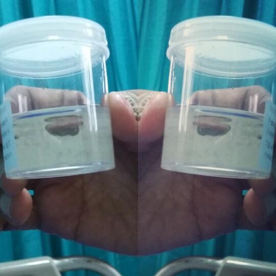 Nurul Yuliyanti (@nurulny27) on Twitter photo 