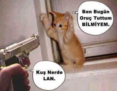 Mert Ateş (@ma82ates) on Twitter photo 