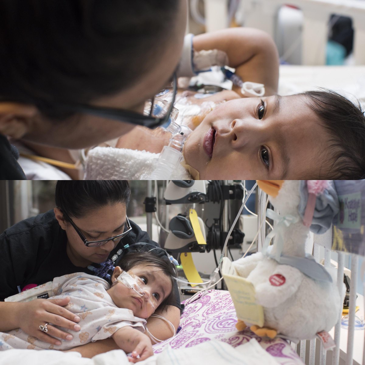 TexasChildrens's tweet photo. Wishing Knatalye Hope and Adeline Faith Mata a very happy first birthday today! #texaschildrens http://t.co/HG2aHSVApg