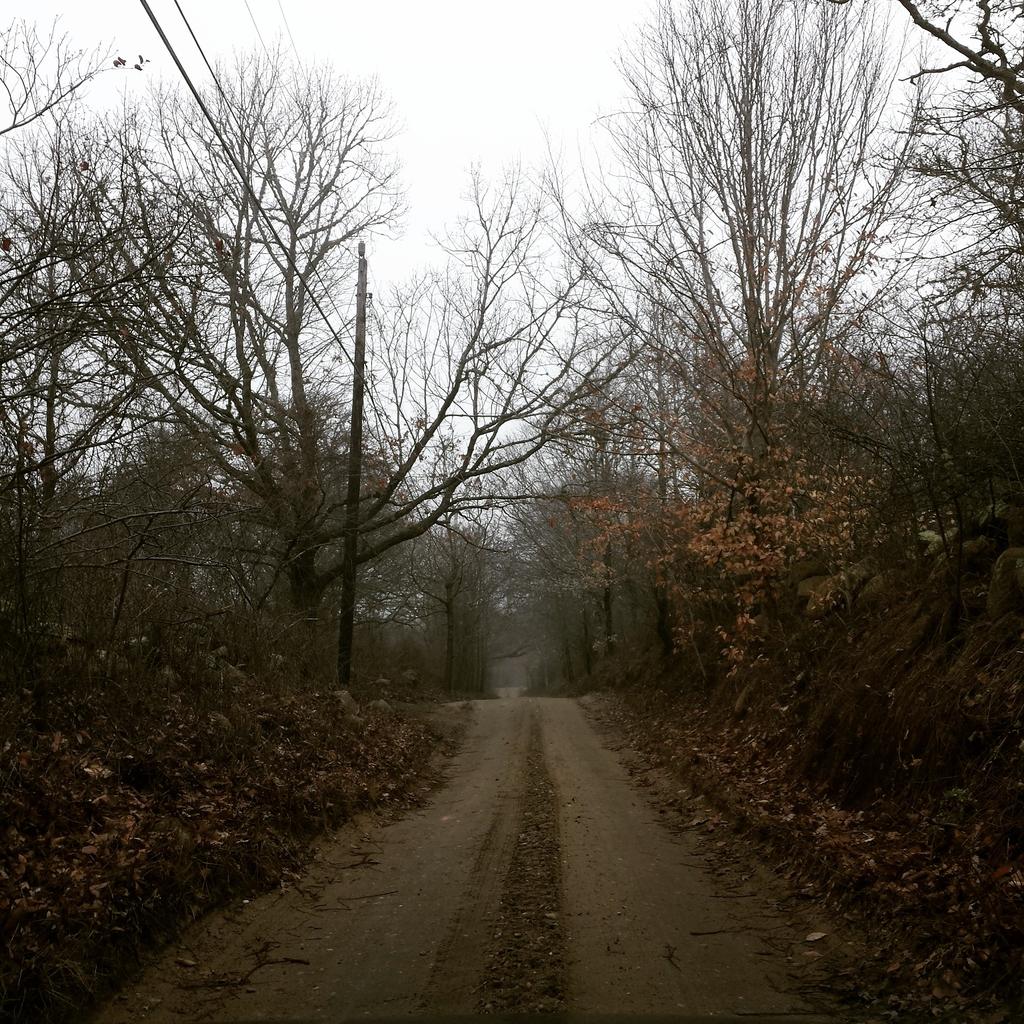 LegendaryMVSC's tweet photo. Venturing out today on the road less traveled. #TeaLane #FrogAlley #MarthasVineyard #LegendaryMV http://t.co/n5PeFQ7Gn0