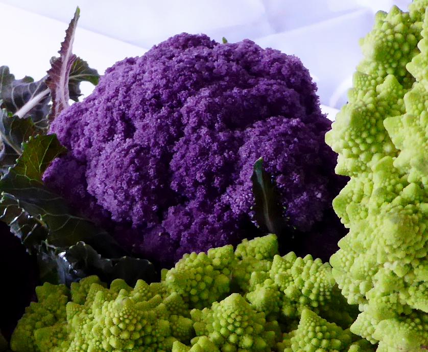 FoodPaths.com tweet media