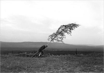 afloodofblood's tweet photo. #virginspring #ingmarbergman #criterioncollection http://t.co/UAhl3Q1cfP