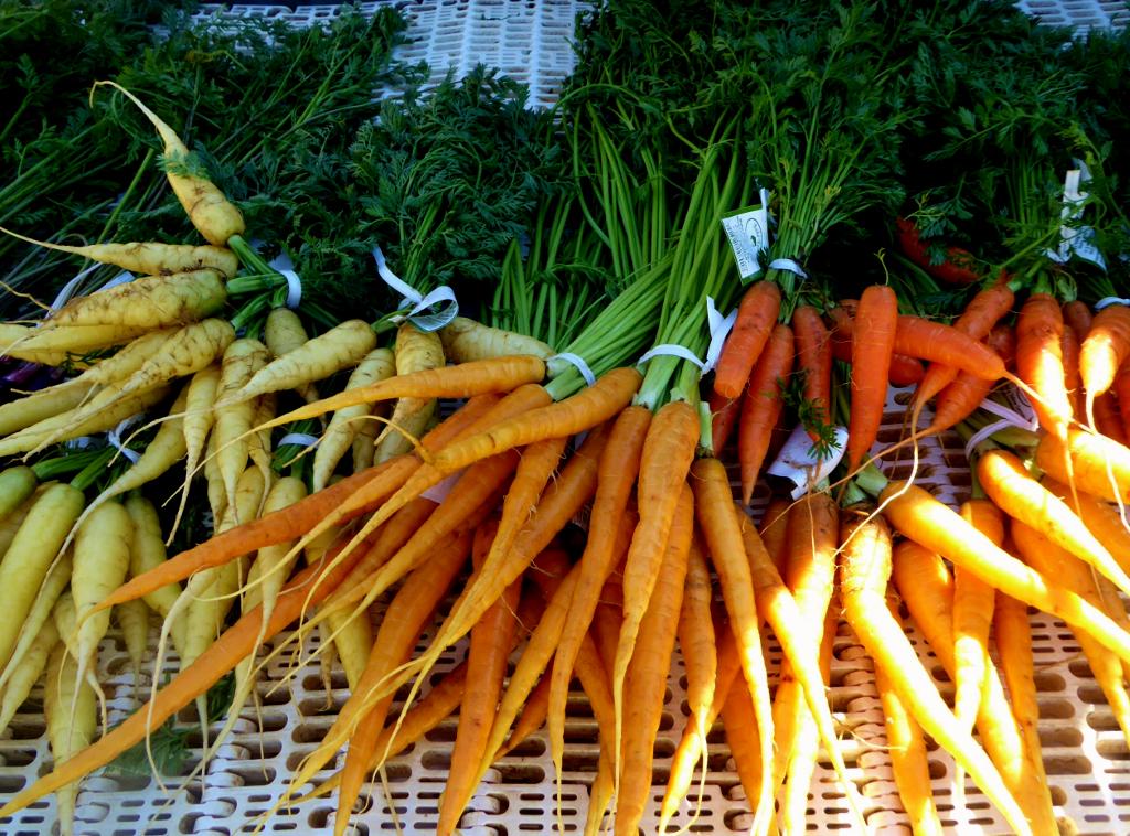 FoodPaths.com tweet media