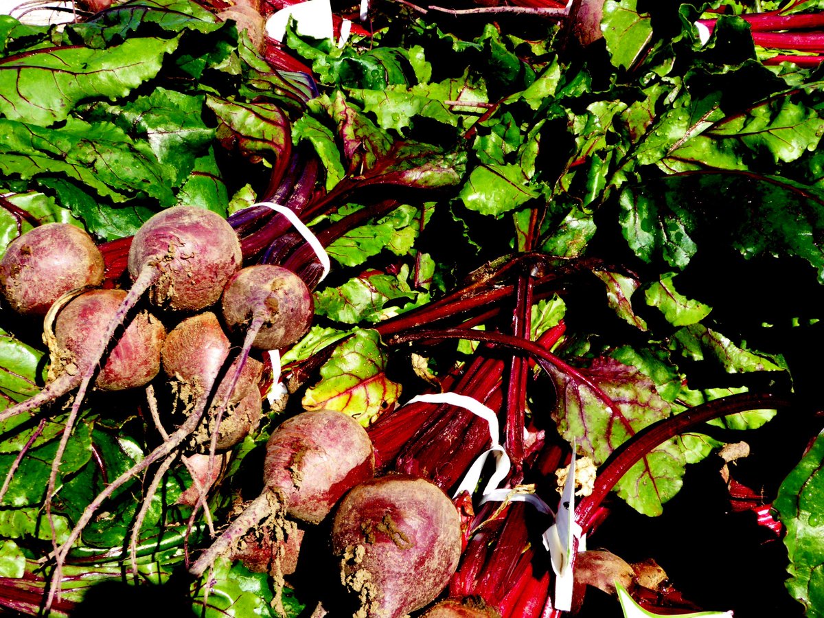 FoodPaths.com tweet media