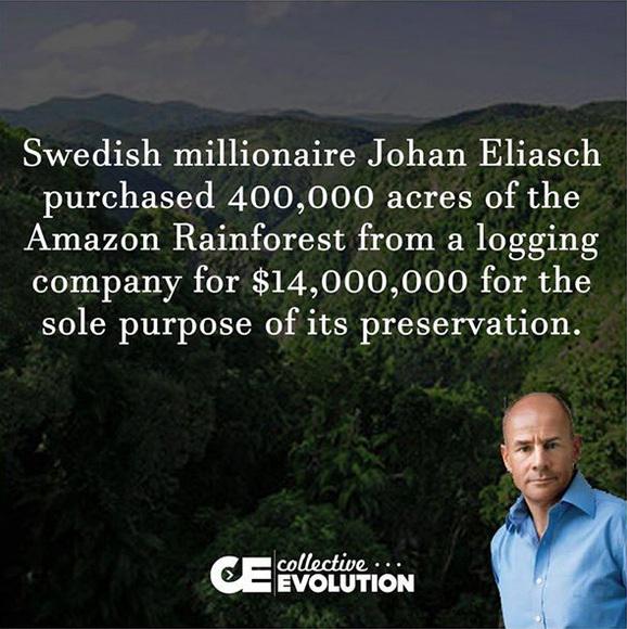 ARewordingLife's tweet image. A true dendrophile! #Treerific #FindingMeaningInTheWord