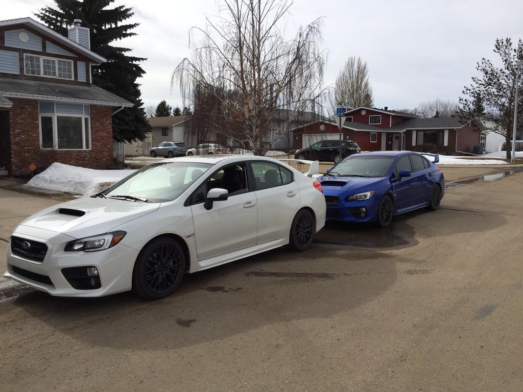 GrahamBuist's tweet photo. @subaru_usa  my swp 2015 STI and my best friends wrb 2015 STI. We are pretty much siblings http://t.co/whvryfNmPe